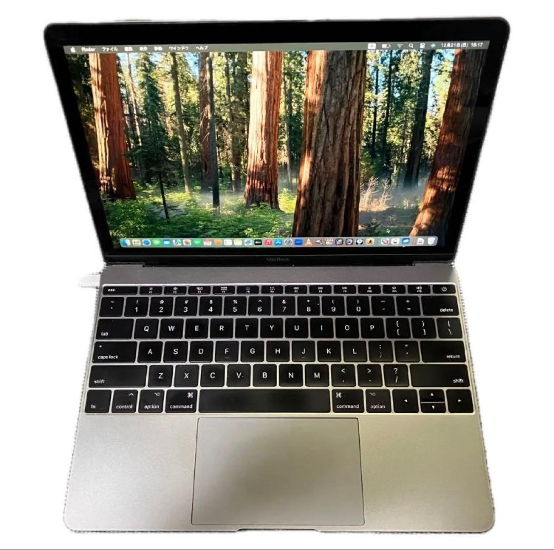 Macbook 2017、12インチ、sequoia,windows 仮想マシン
