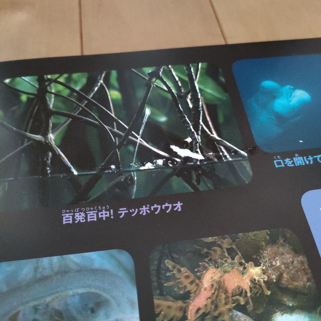 講談社 動く図鑑 MOVE 12冊 全DVD付き