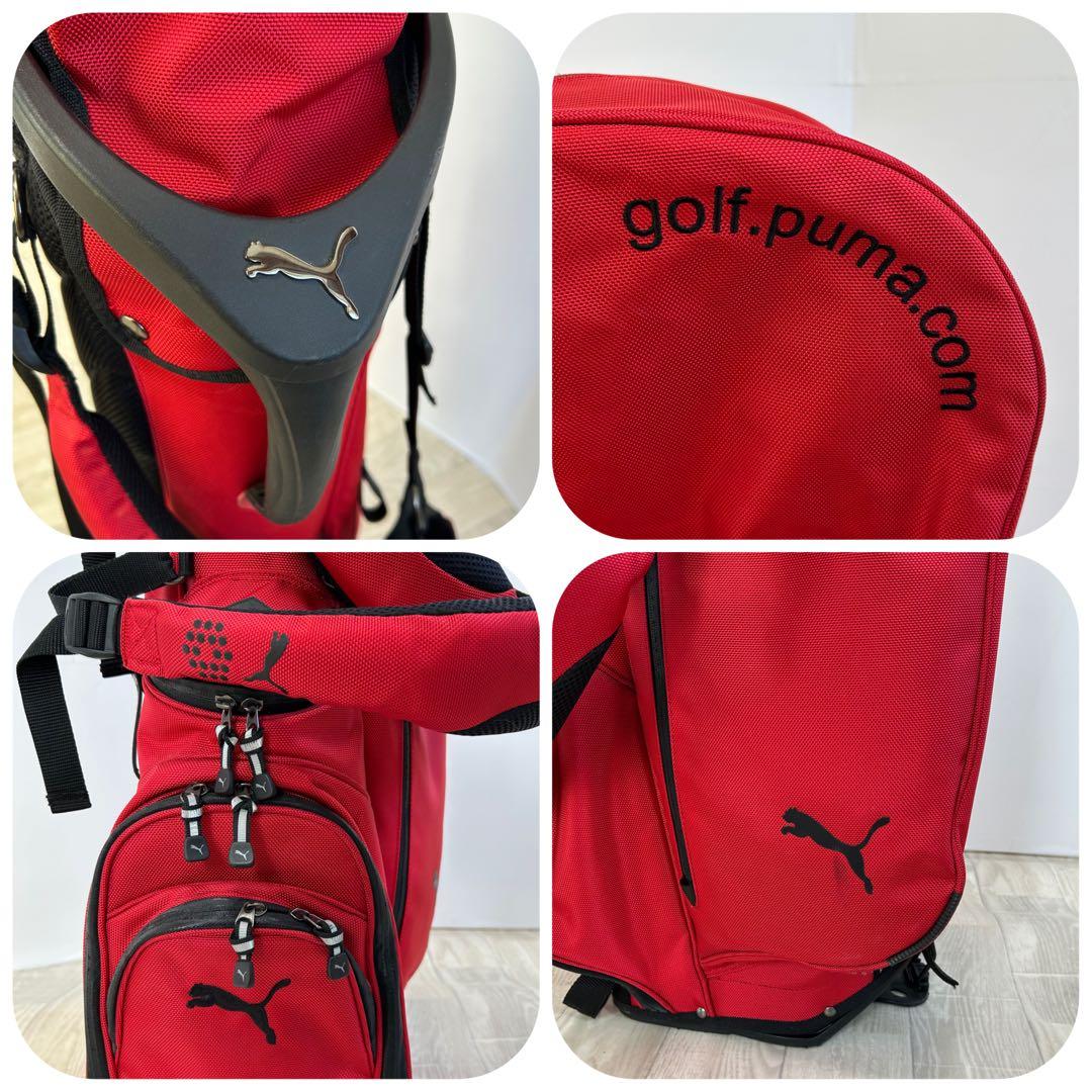 レディースゴルフ　MIZUNO ZEPHYR ZL-01 11本 レインカバー付