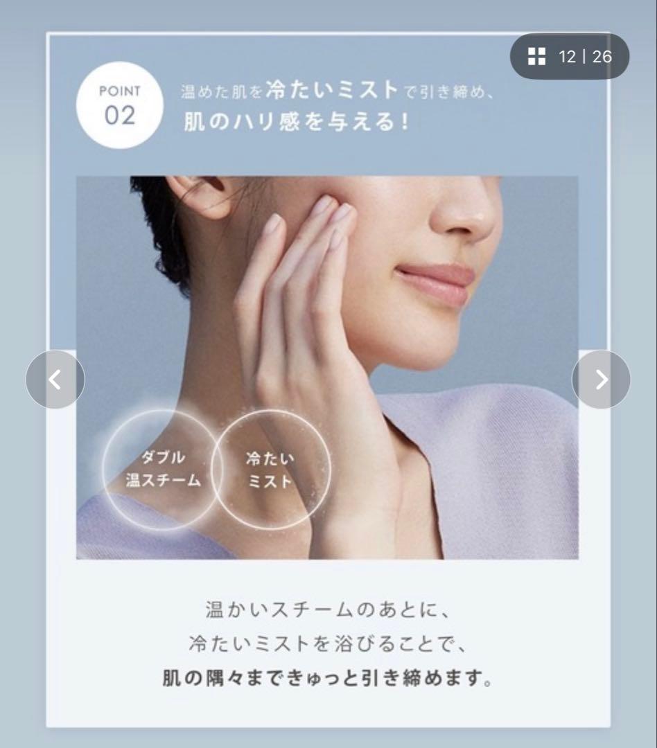 SALONIA ピュアブライトスチーマー ブラウン美顔器 SAL22207BE