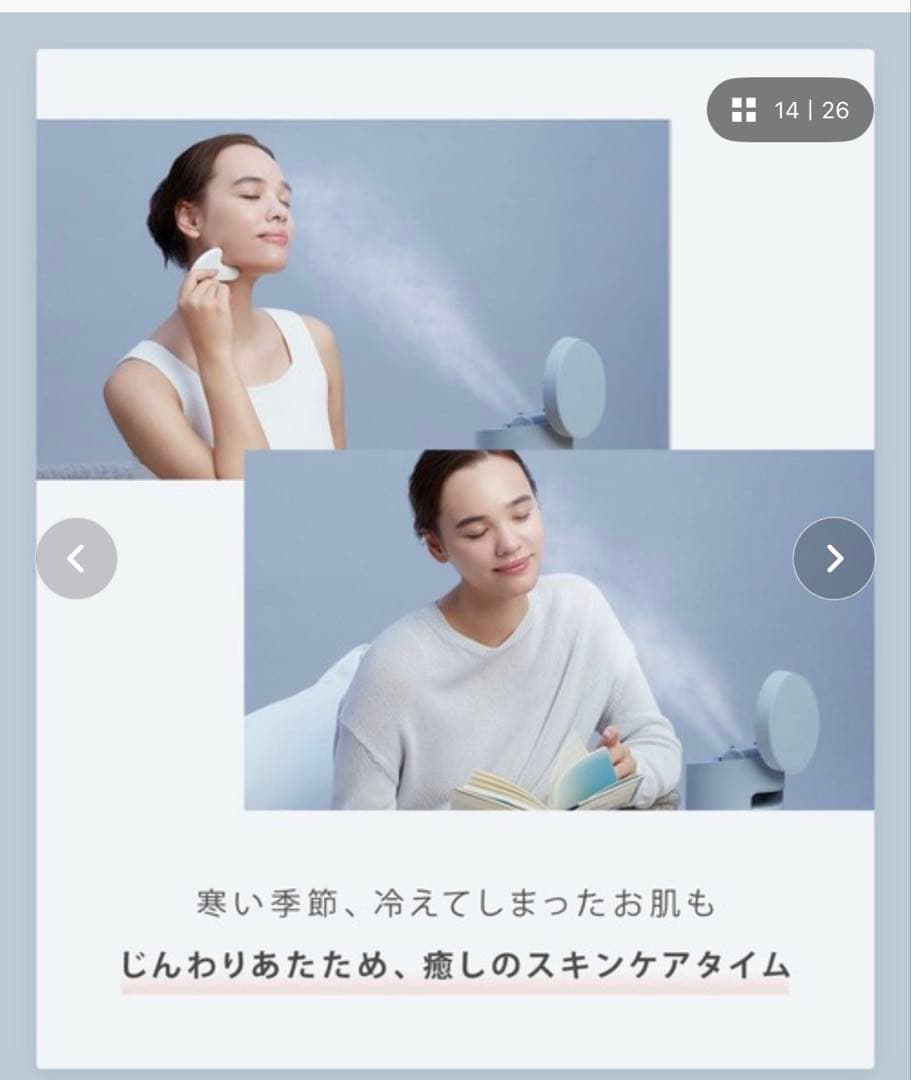 SALONIA ピュアブライトスチーマー ブラウン美顔器 SAL22207BE