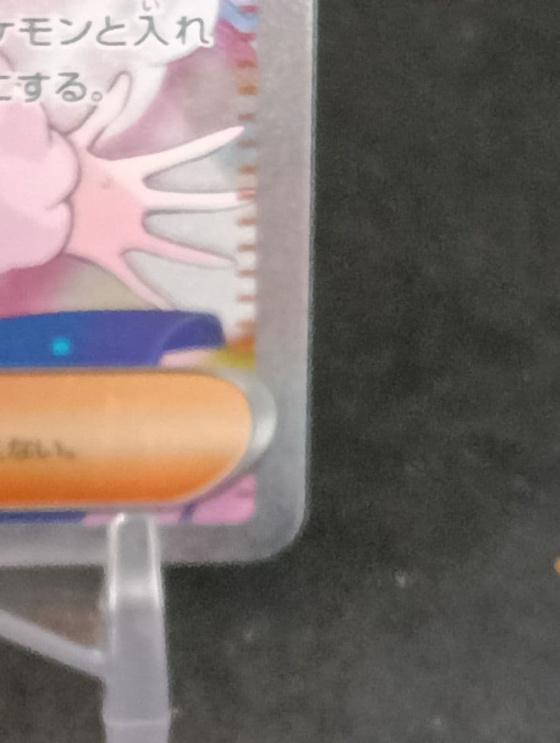 ルチアのアピール サポート トレーナーズ