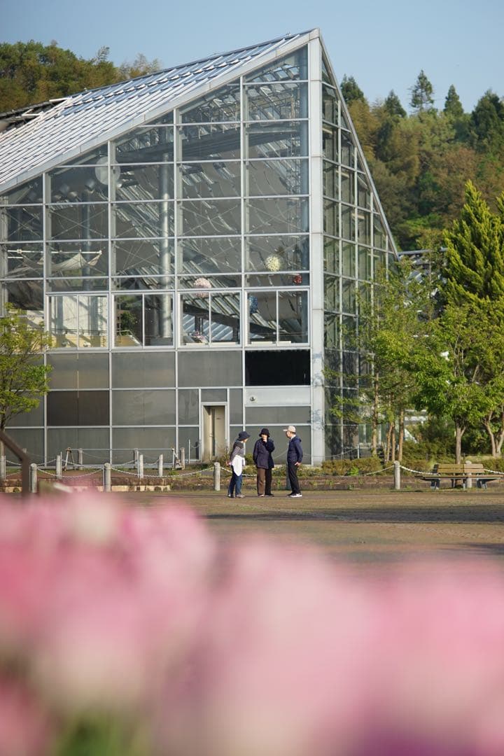 作例付き　日本光学　NIKON AUTO 135mm F2.8 管mpr