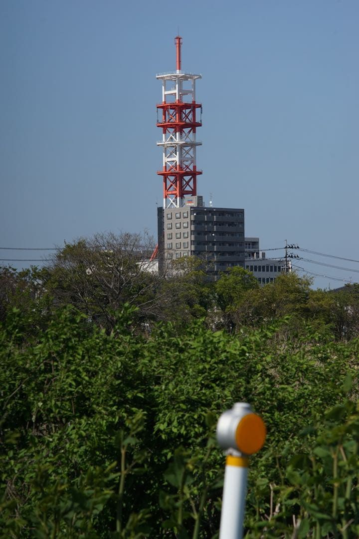 作例付き　日本光学　NIKON AUTO 135mm F2.8 管mpr