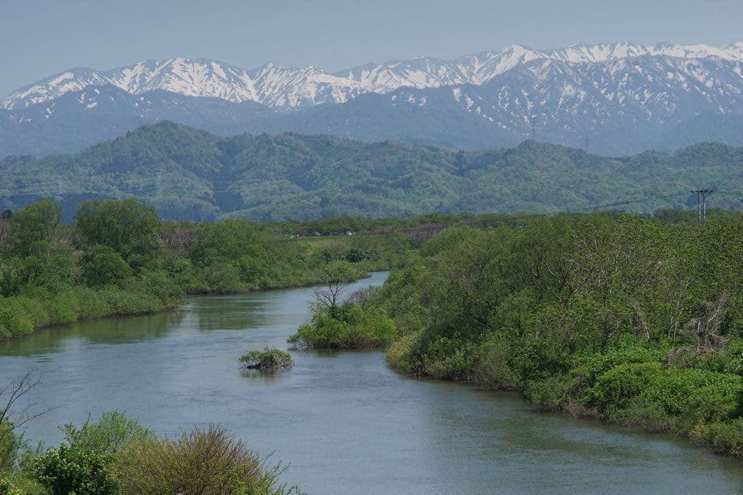 作例付き　日本光学　NIKON AUTO 135mm F2.8 管mpr