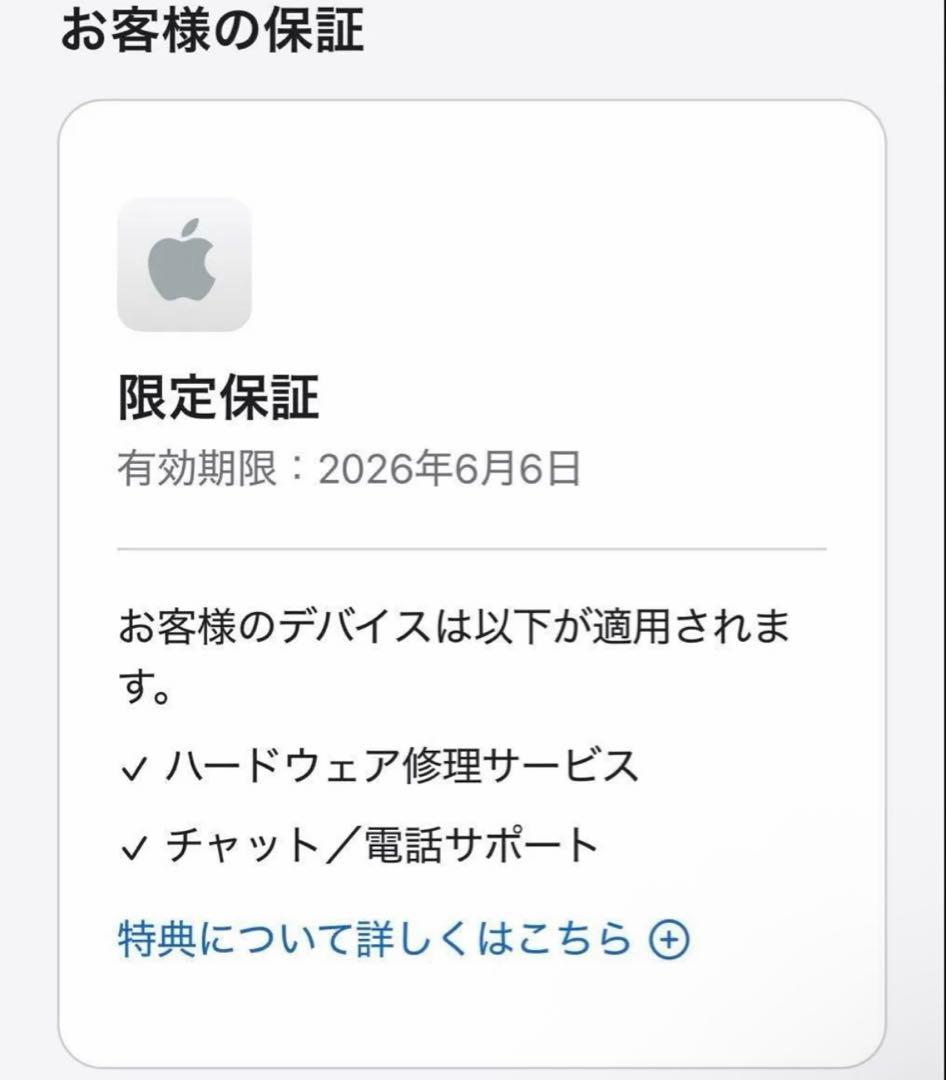 美品　Apple MacBook Air 13インチ M4 16GB 256GB