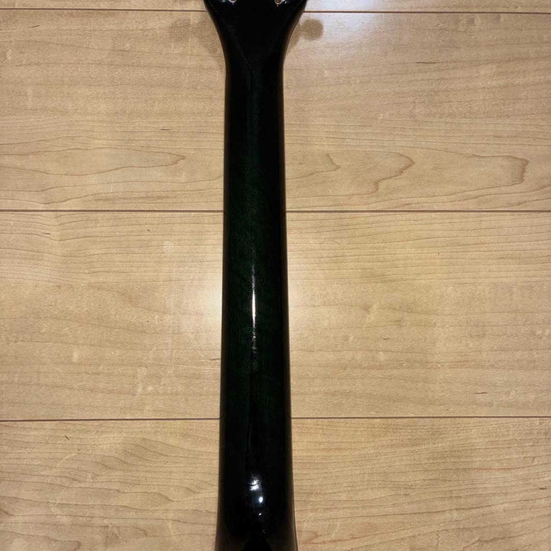 激トラ目　Morris MR-451FBU エレアコ　モーリス