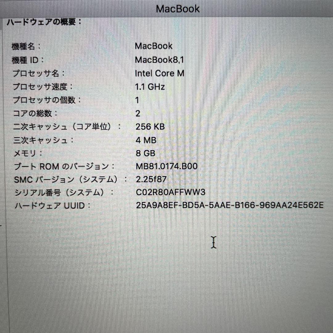 MacBook本体 APPLE MacBook Air (Retina,12inch,2015)