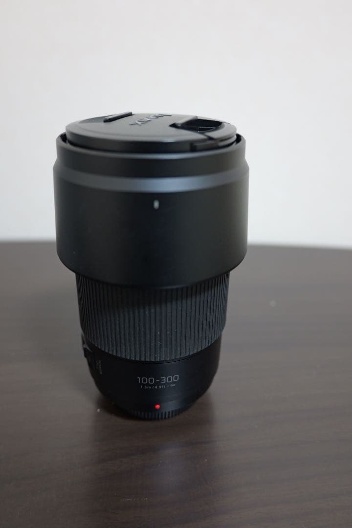 レンズ(ズーム) LUMIX G VARIO 100-300mm H-FSA100300