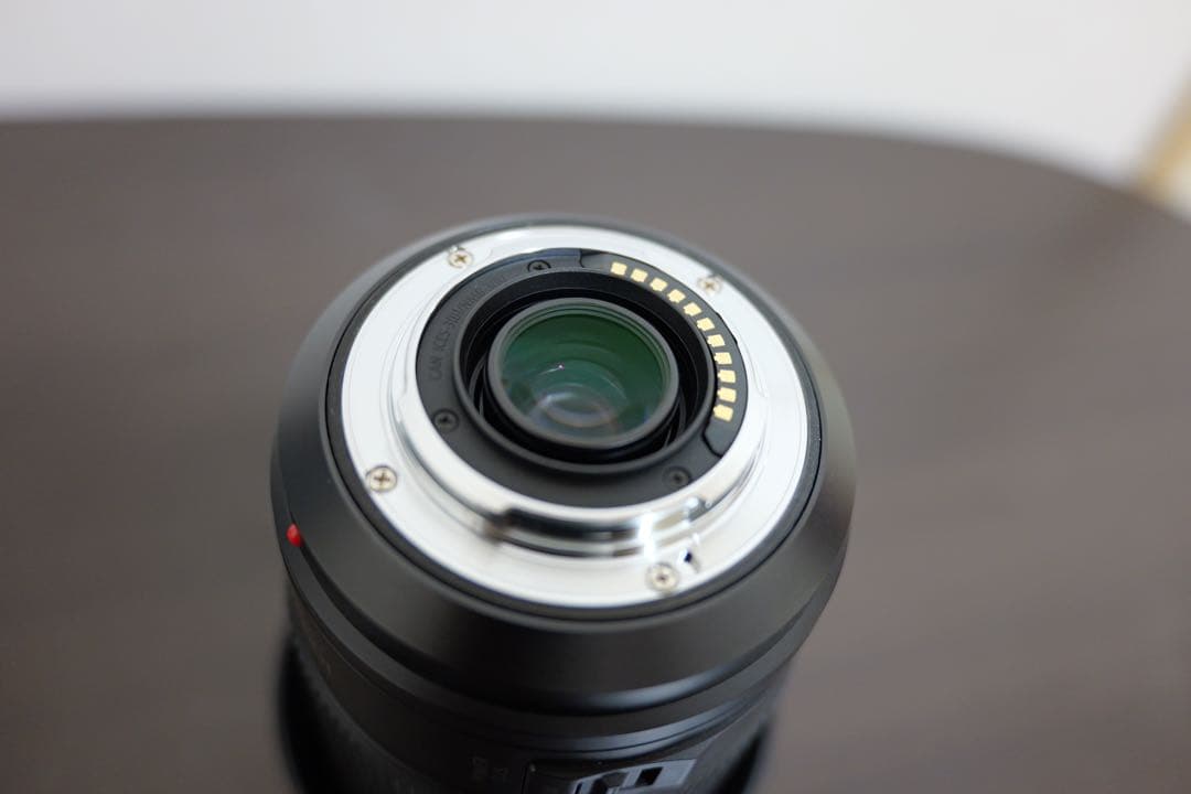 レンズ(ズーム) LUMIX G VARIO 100-300mm H-FSA100300