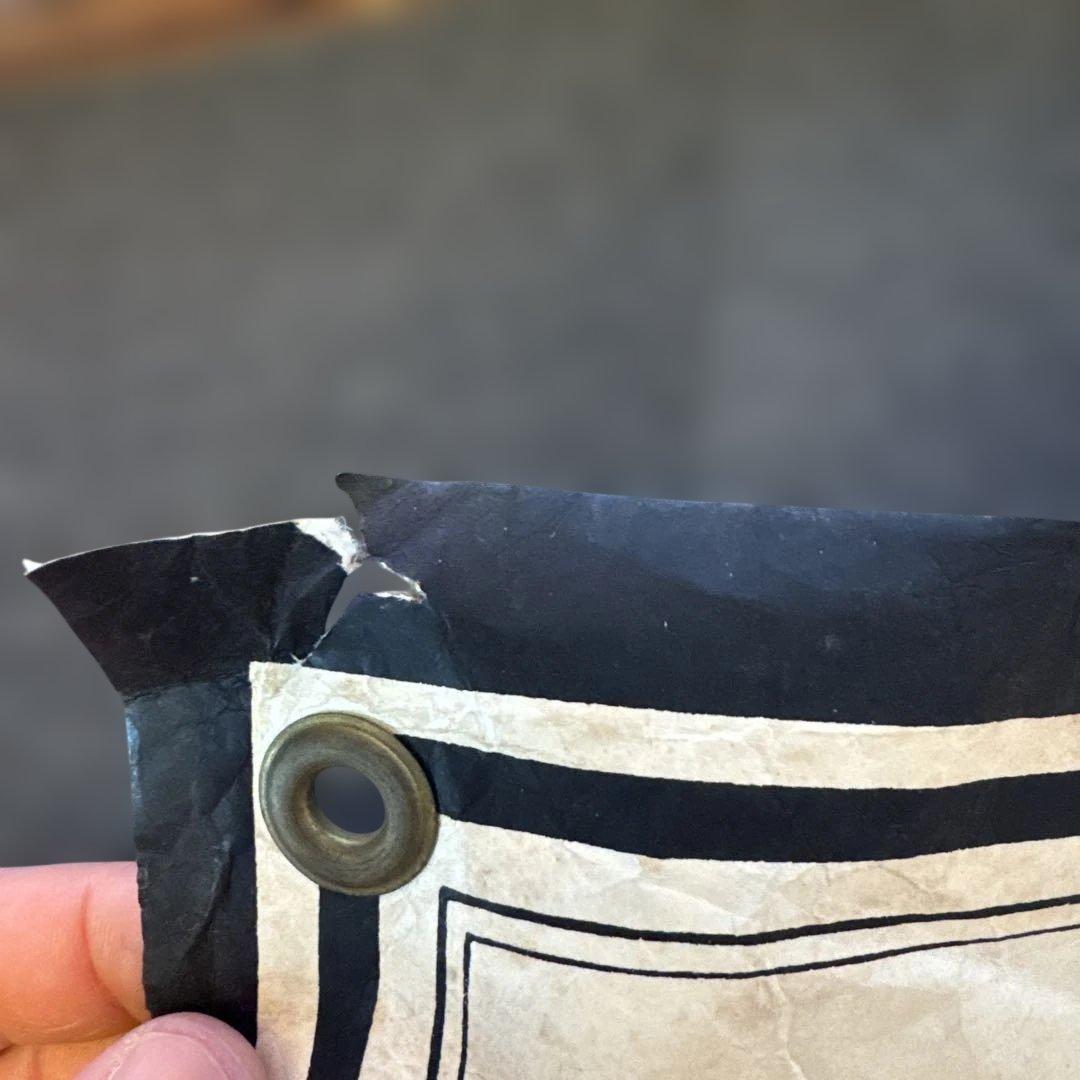 POWELL PERALTA ドラゴンポスター1981年