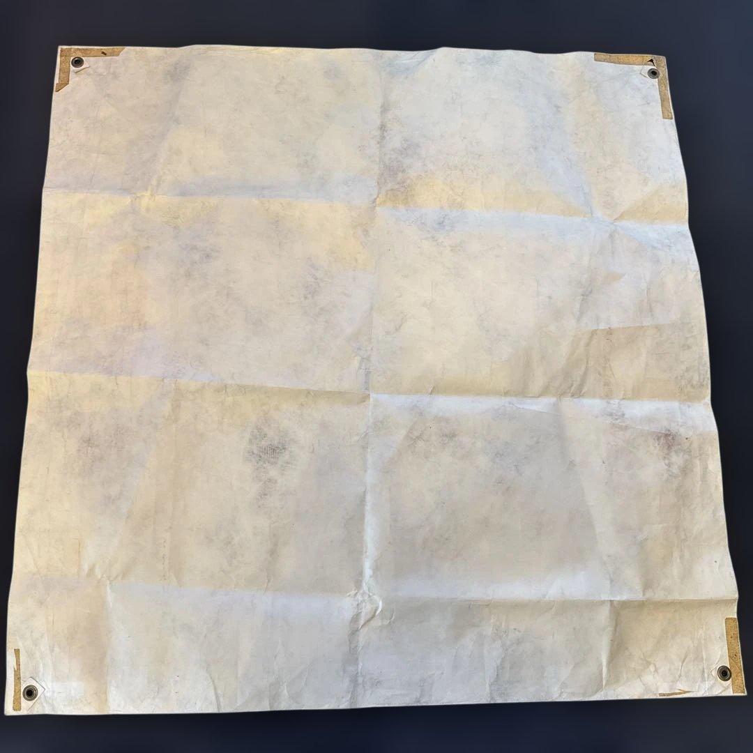 POWELL PERALTA ドラゴンポスター1981年