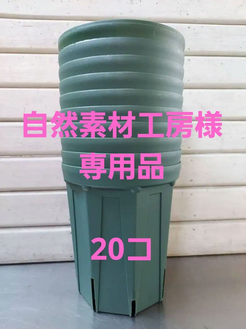 専用品！スリット鉢ＣＳＭ－２４０Ｌ　２０コ