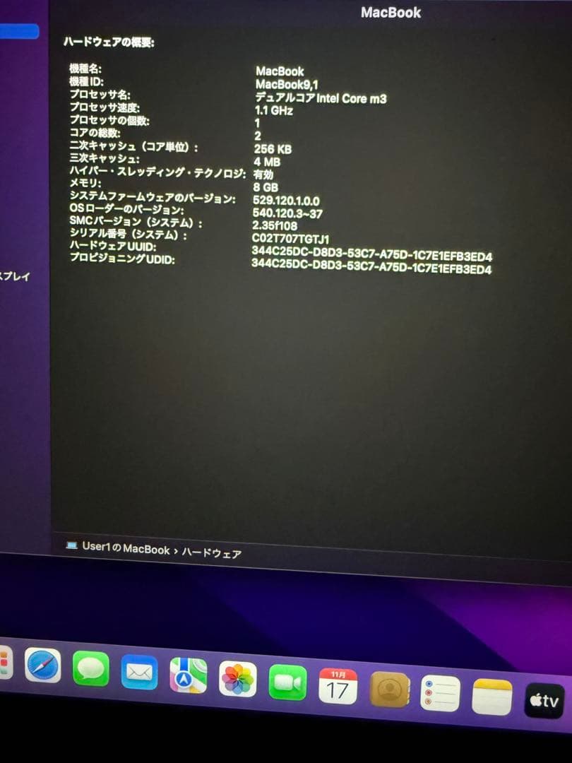 Apple MacBook ゴールド 英語配列 A1534 12inch