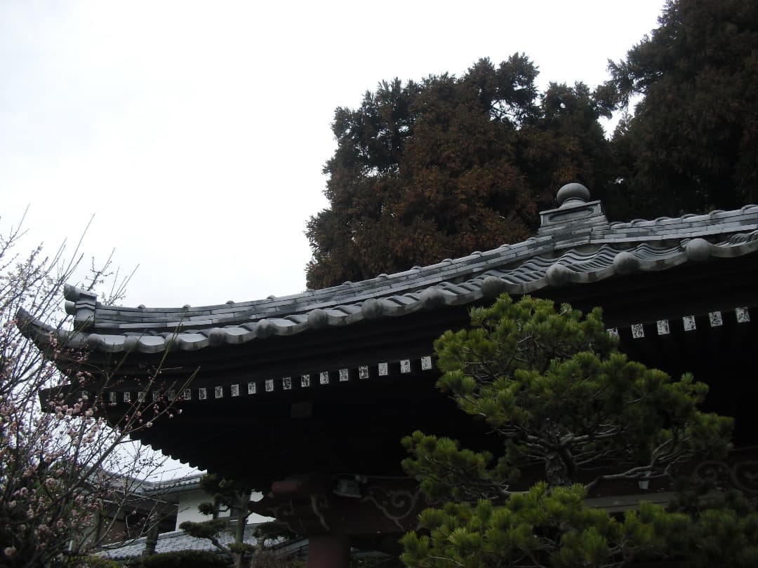 実写美⭕️良品【動作確認済み】CASIO EXILIM EX-Z35 シルバー