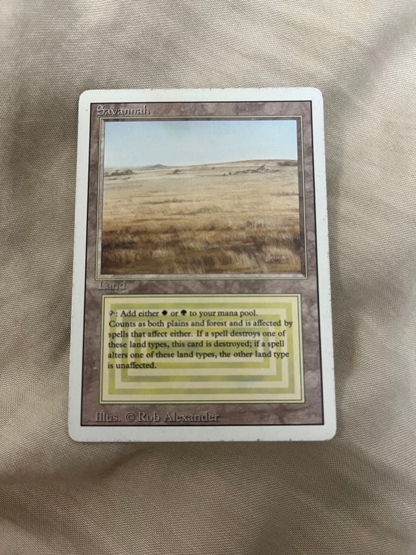 a*o様 【格安】Savannah 英語　サバンナ　デュアルランド