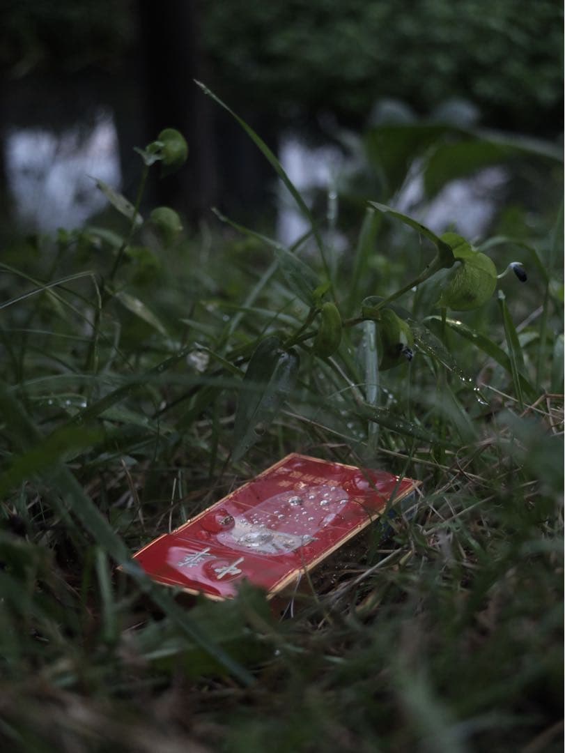 デジタルカメラ FUJIFILM X20