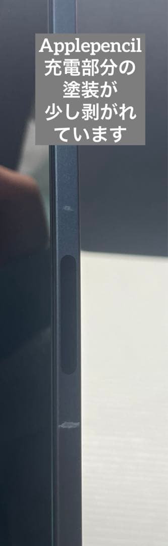 iPad Pro 第3世代 512GB 12.9インチ Apple Pencil