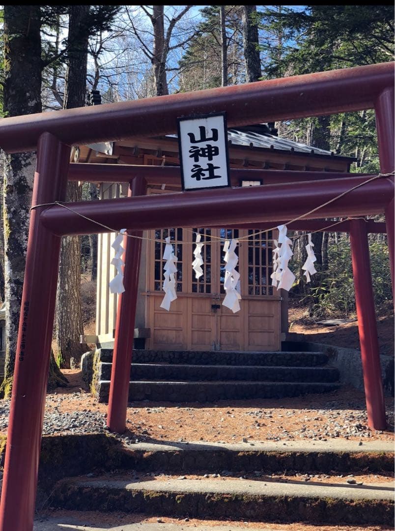 【水わらび】⭐️最強財運〜龍神様⭐️イケメン紫龍　ずっしり801g