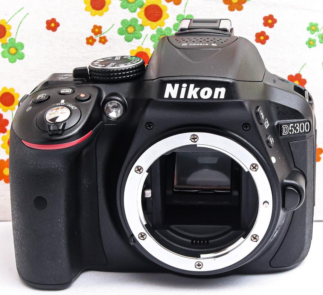 ニコン Nikon D5300 ☆初心者歓迎☆軽量バリアングル☆高機能一眼レフ！