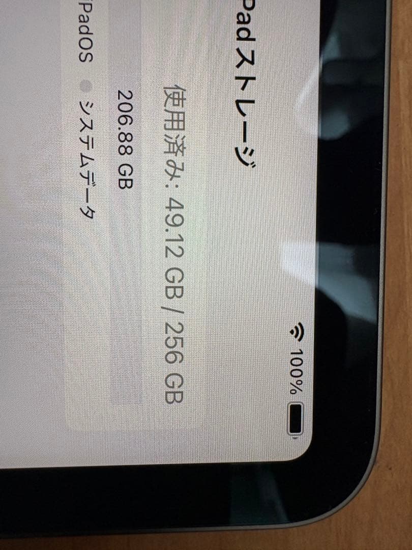 iPadPro 11インチ 256GB 第3世代