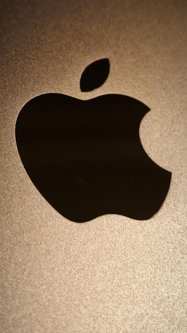 iPad 第9世代 64gb セルラー バッテリー 93.2% グレー 超美品