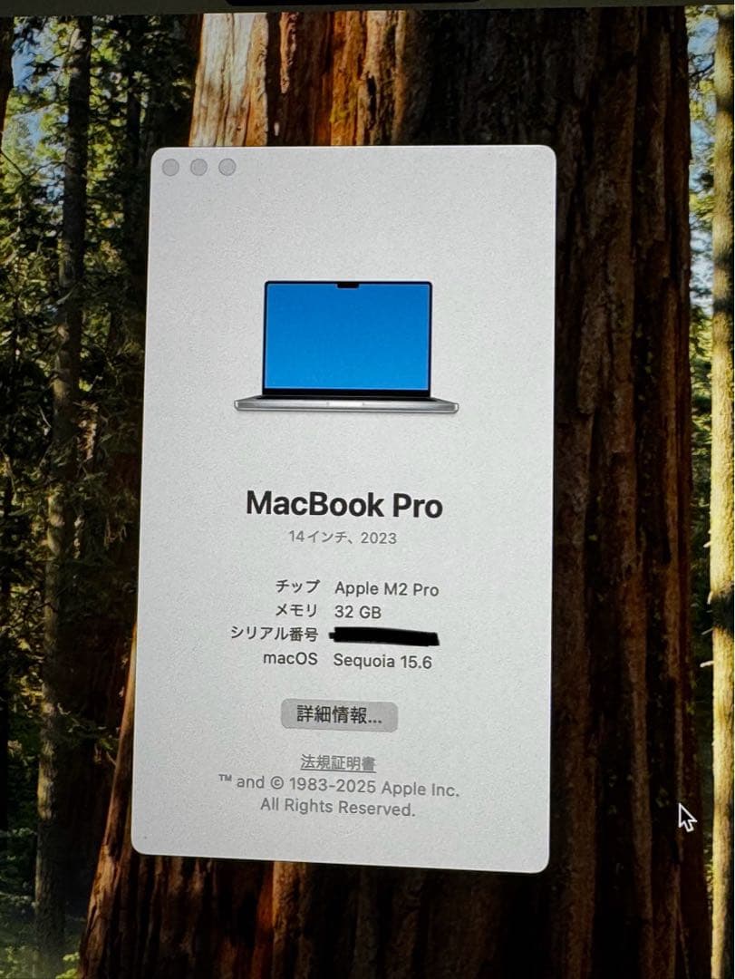 MacBook本体 MacBook Pro 14 M2 Pro 2023 32GB JIS
