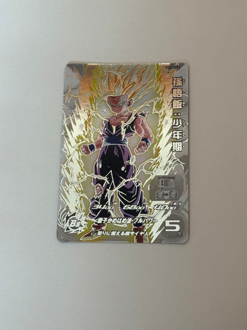 A*N様 UM12-SEC3 LC 孫悟飯:少年期