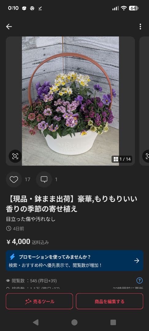 ローズガーデン【現品・鉢まま出荷】季節の寄せ植え3点＆ビオラのセット