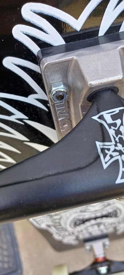  Hawaiian スケートボード　　dogtown コンプリート