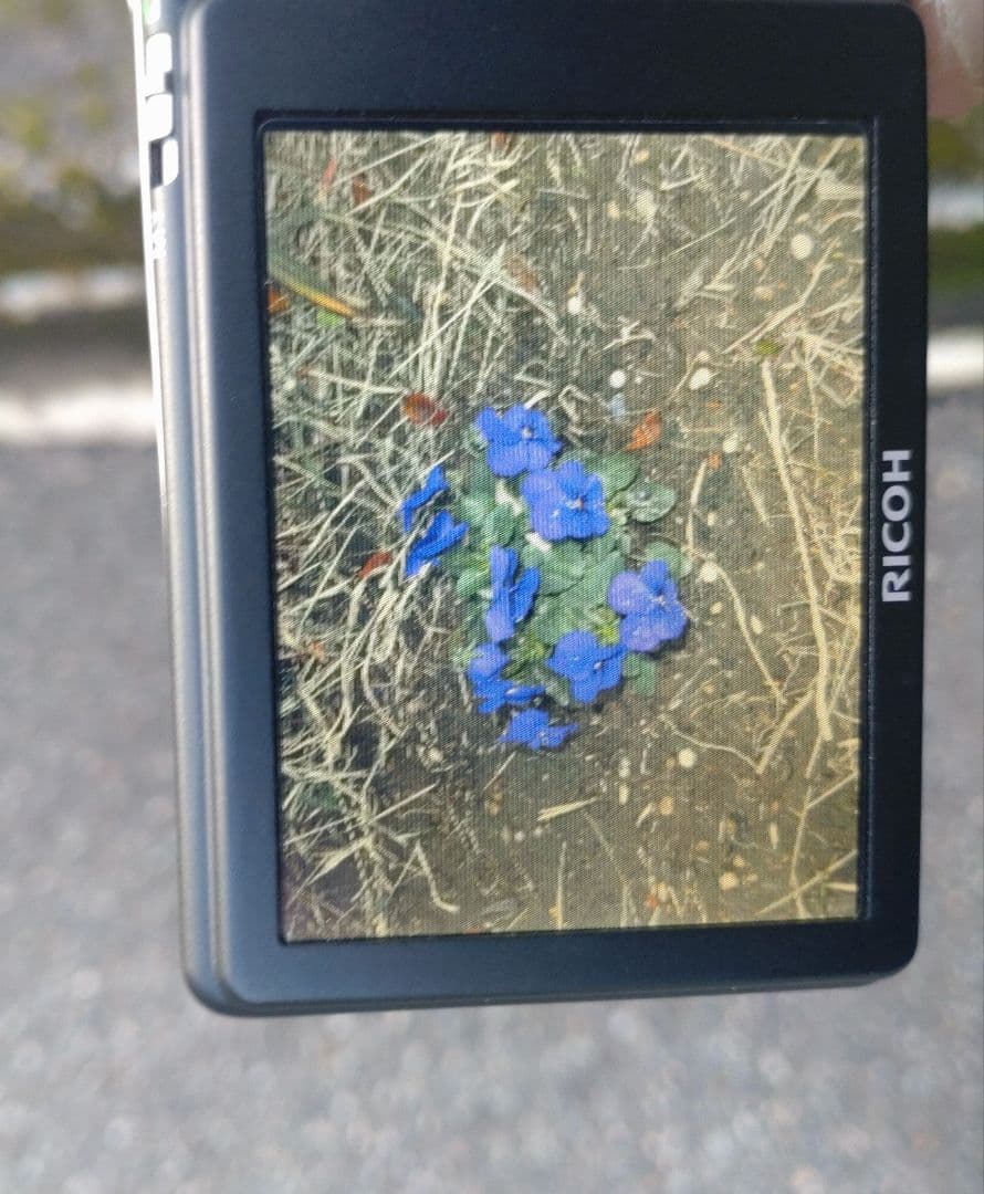 RICOH Caplio R6 コンパクトデジタルカメラ