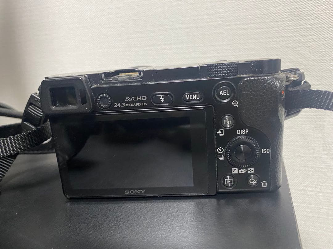SONY α6000