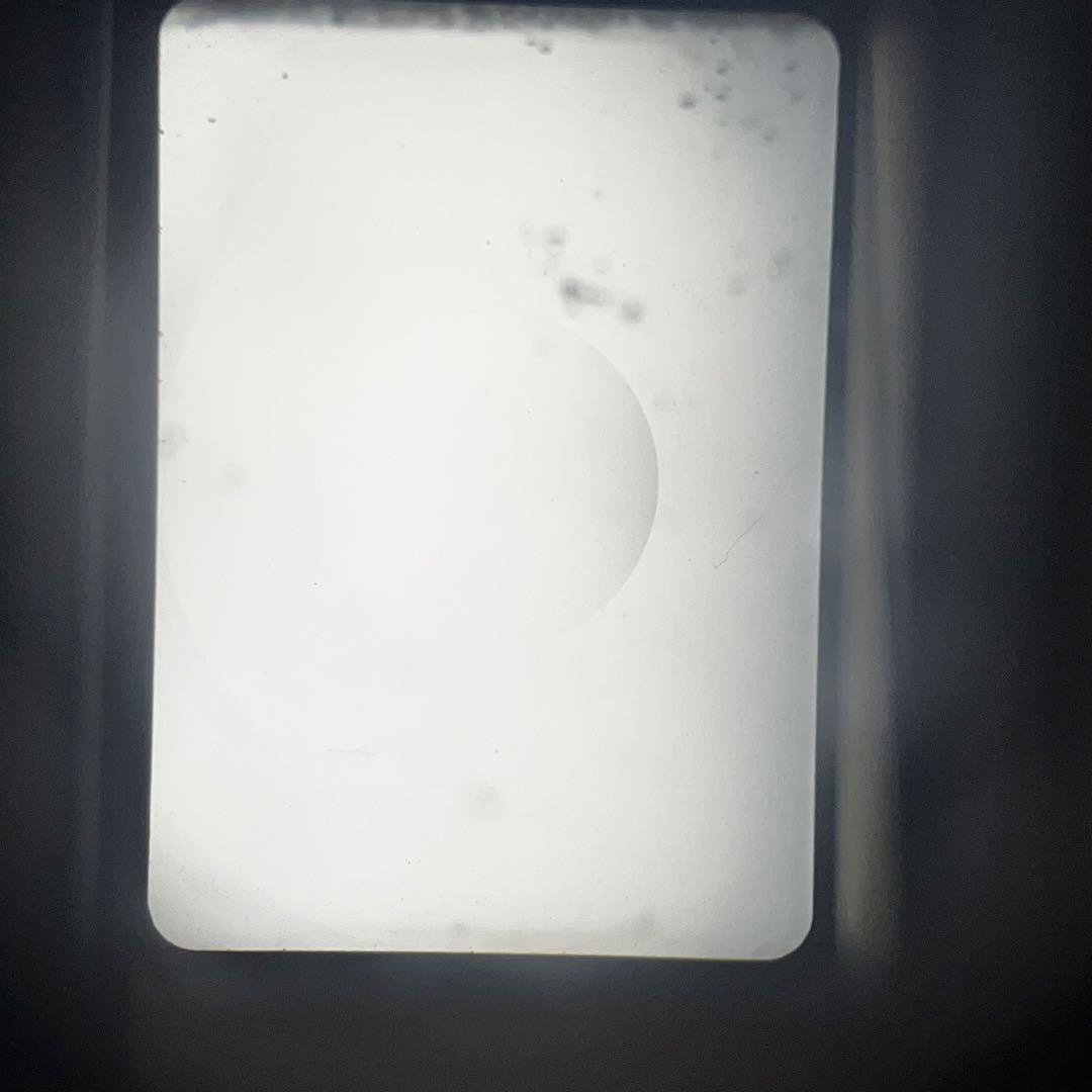 [整備済み] OLYMPUS PEN F G.ZUIKO 40mm F1.4