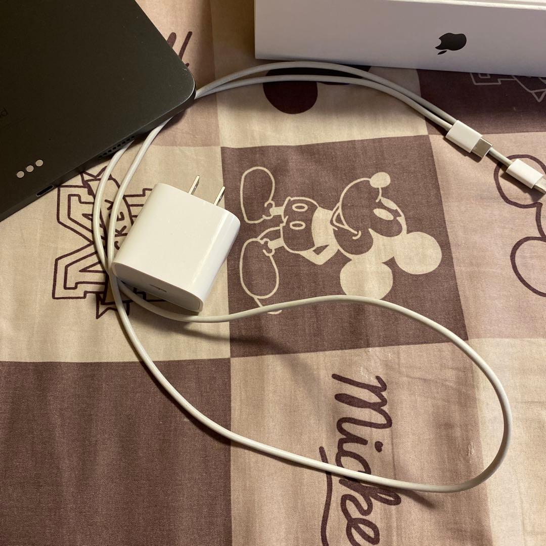 Apple 11インチiPad Pro (第3世代) Wi-Fi スペースグレー