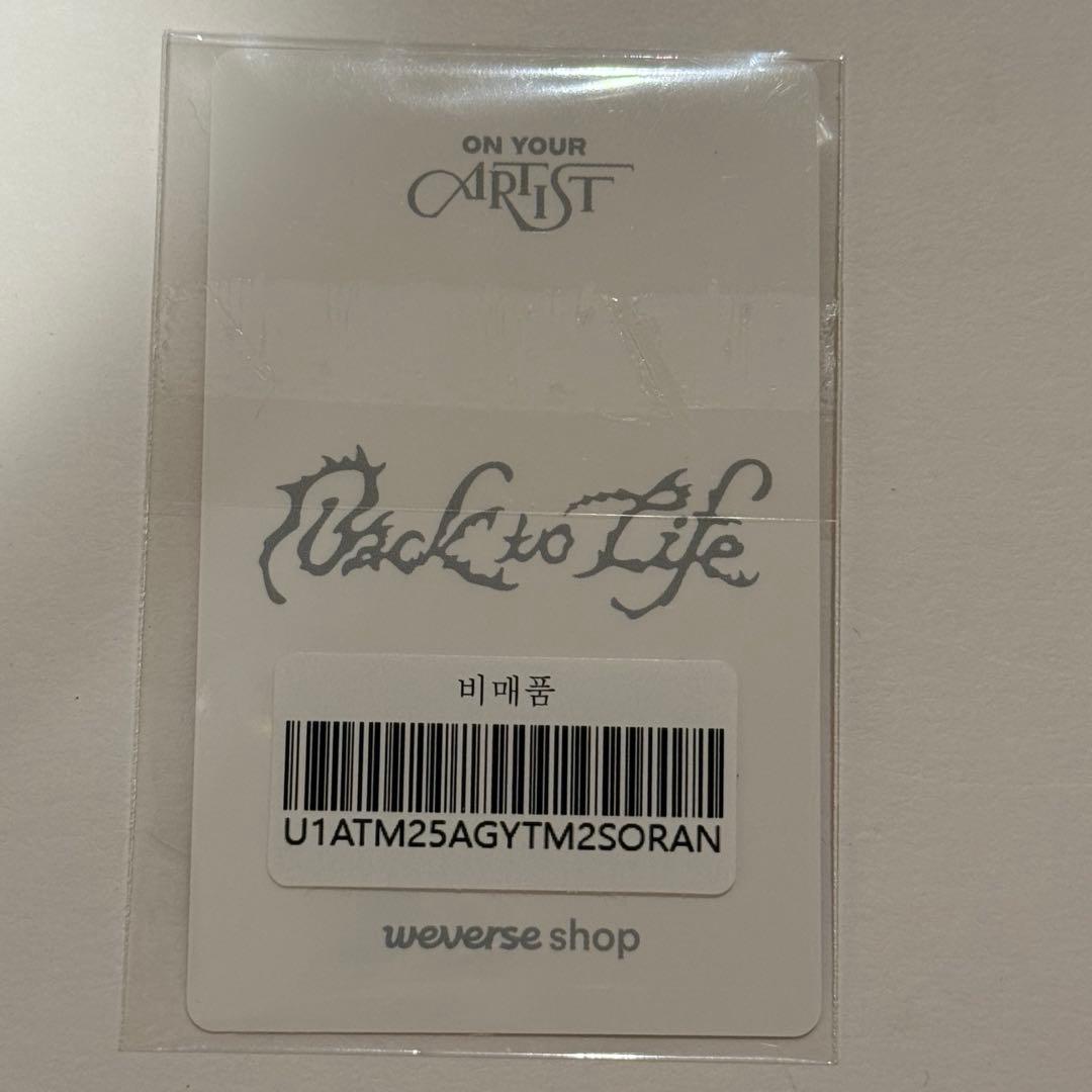 タレントカード &TEAM Back to Life M2 K