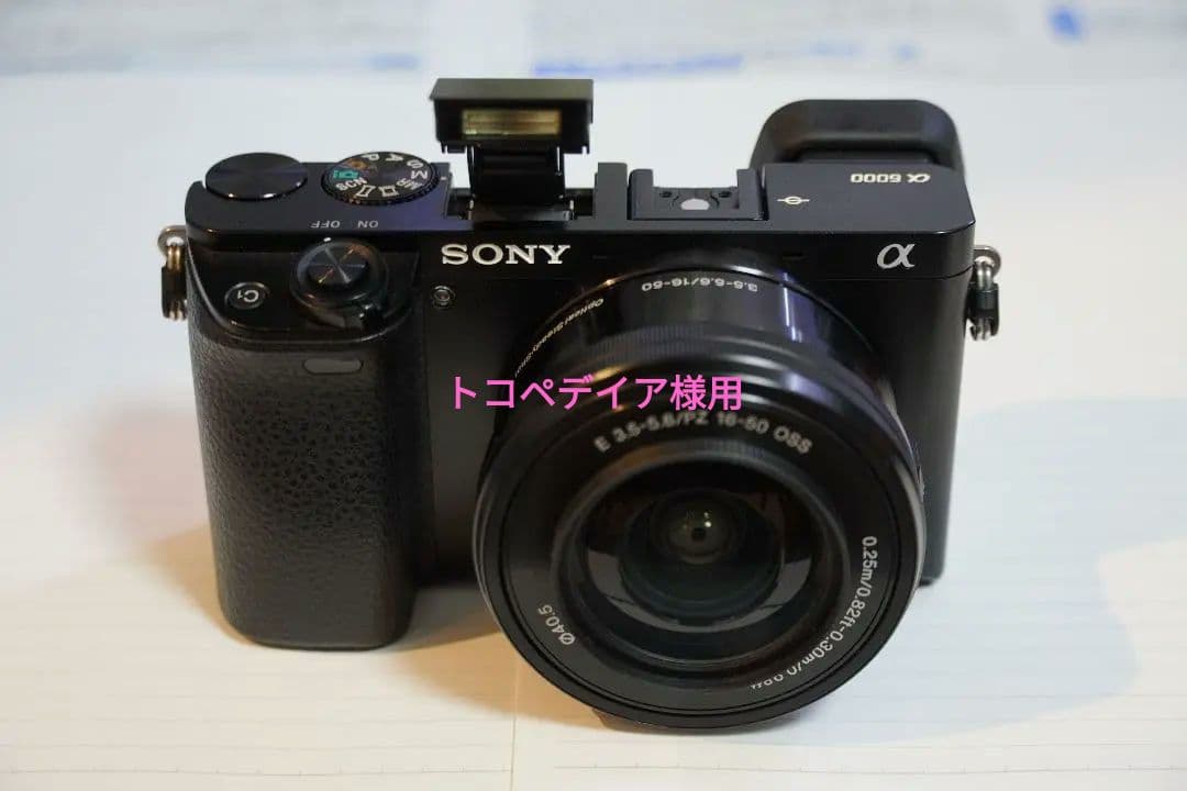 SONY α6000 キットレンズ