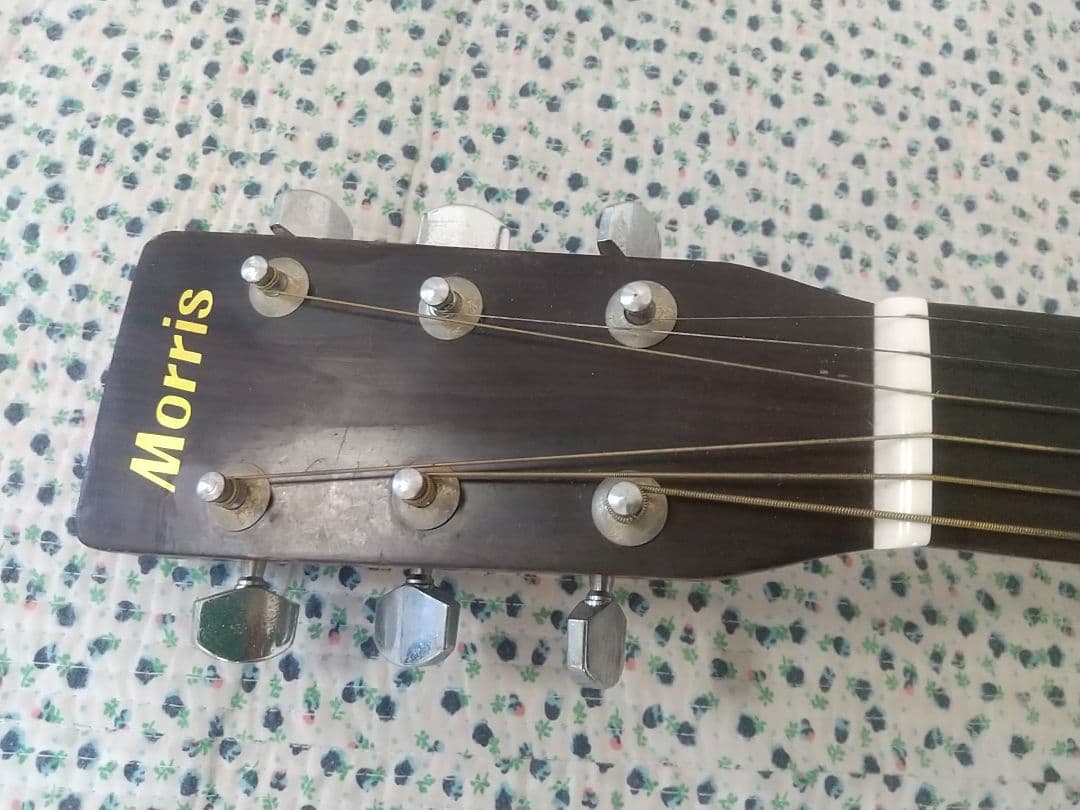 MORRIS モーリス アコースティック フォーク ギター W-20 おまけ 弦