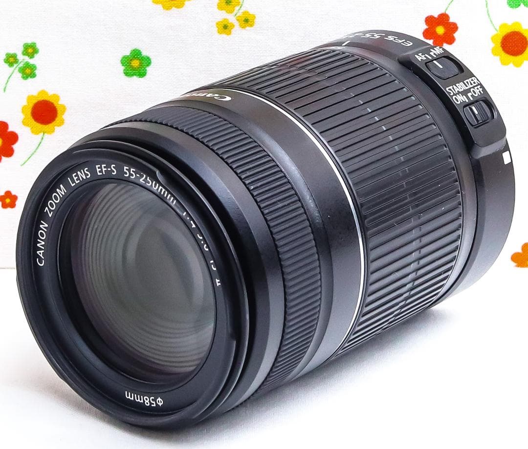 美品 Canon EF-S 55-250mm IS Ⅱ☆手振れ補正付☆望遠レンズ