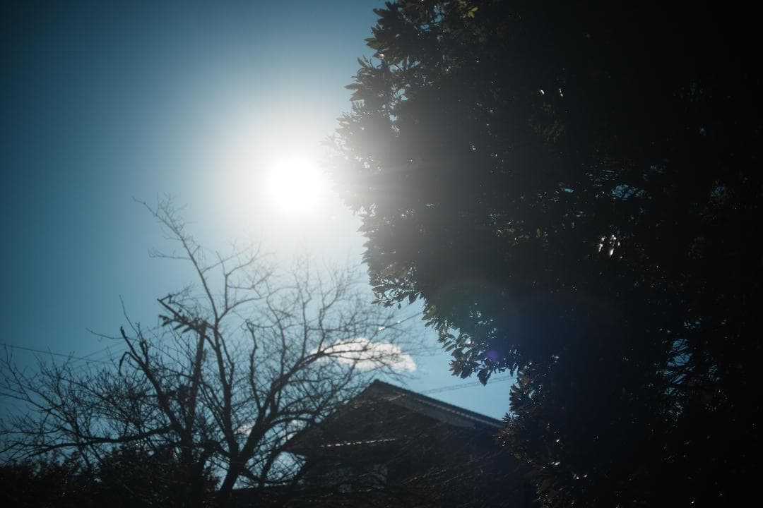 【整備＆テスト済】オリンパス Zuiko auto-w 35mm F2 441