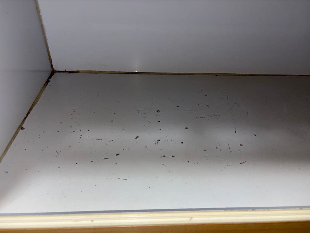 TH 大型爬虫類ケージ