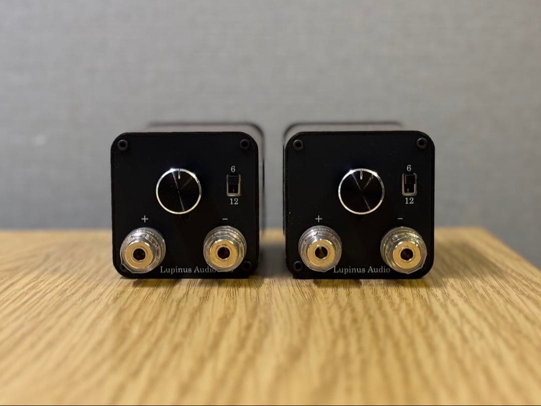 新モデル　Lupinus Audio AMT-TP3 　スーパーツイーター