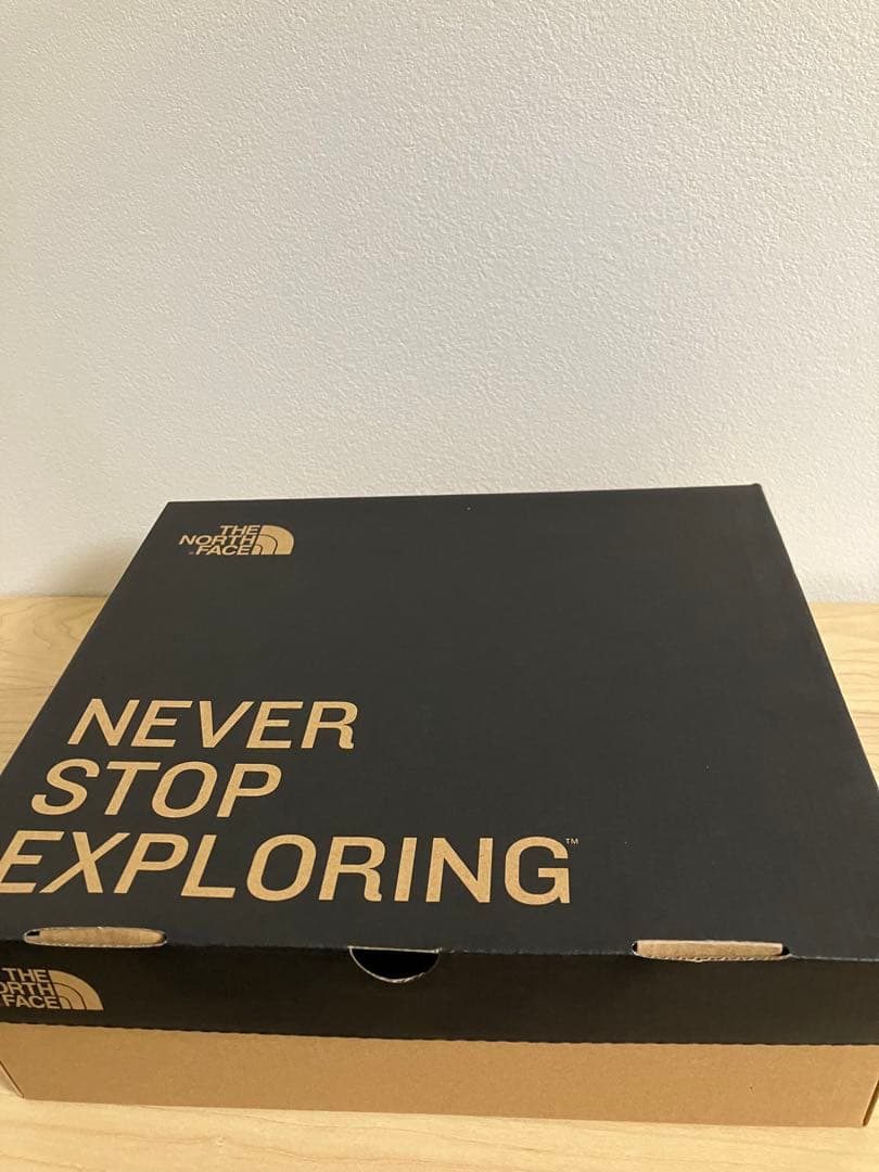 ノースフェイス　キッズ　ヌプシ　ブーティ　19