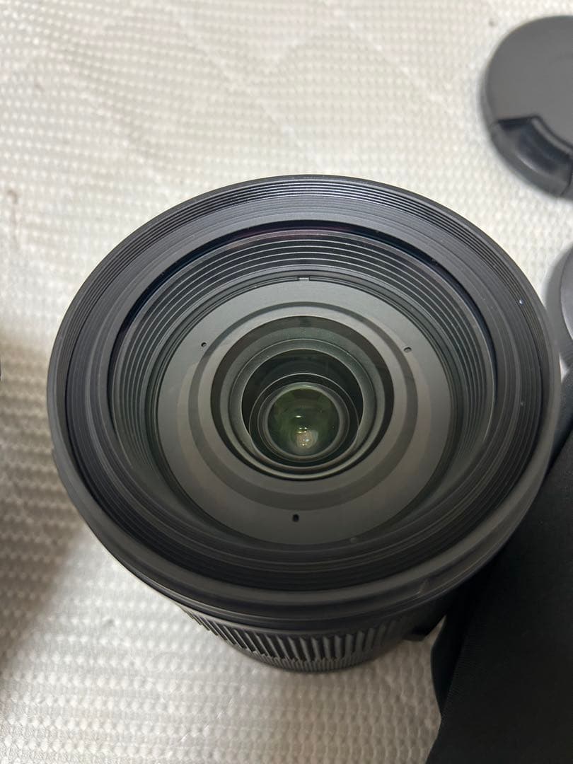 SIGMA 望遠レンズ24-105mm F4 DG