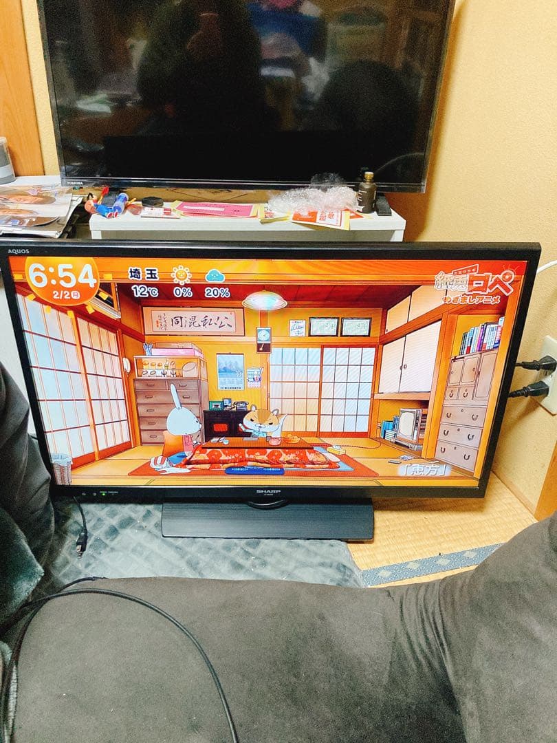 シャープ 液晶カラーテレビ LC-32H20 2015年製