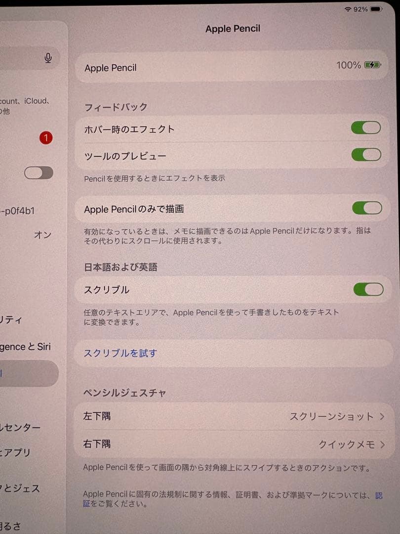 純正 Apple Pencil USB-C 箱有り アップル ペンシル