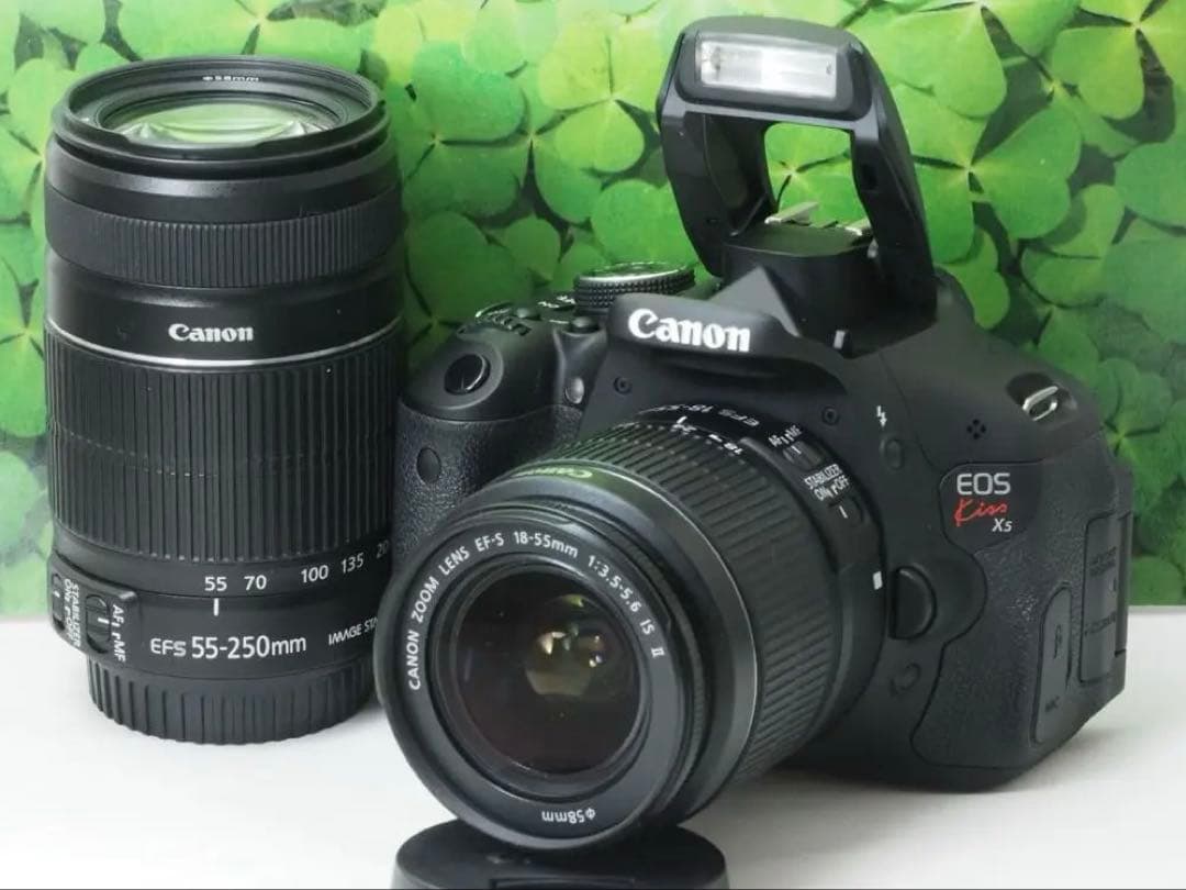 【美品】スマホへ転送も可 一眼で自撮りOK キャノンKissX5ダブルレンズ