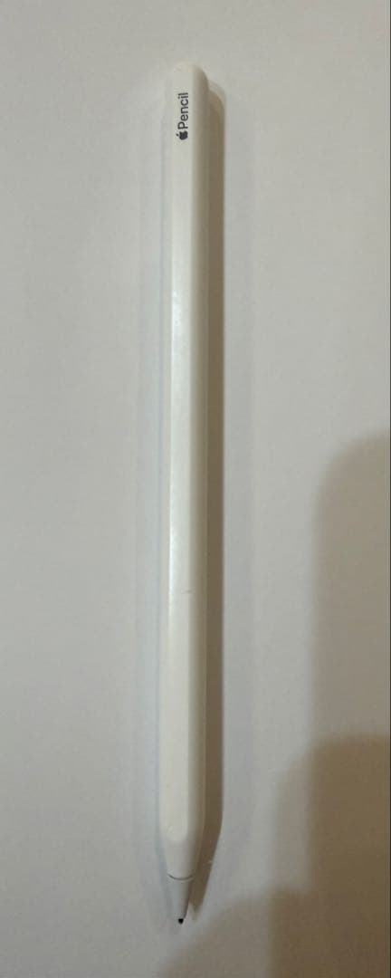 12.9インチ iPad Pro 第6世代256g Apple Pencil2付