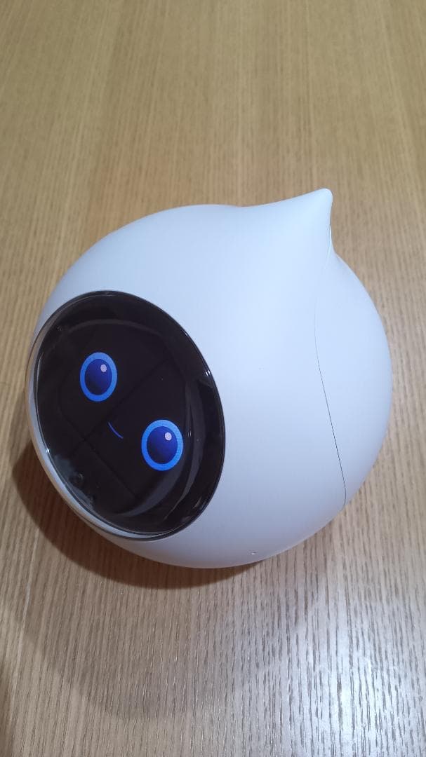 Romi Lacatan モデル　ロミィ　AI会話ロボット　mixi