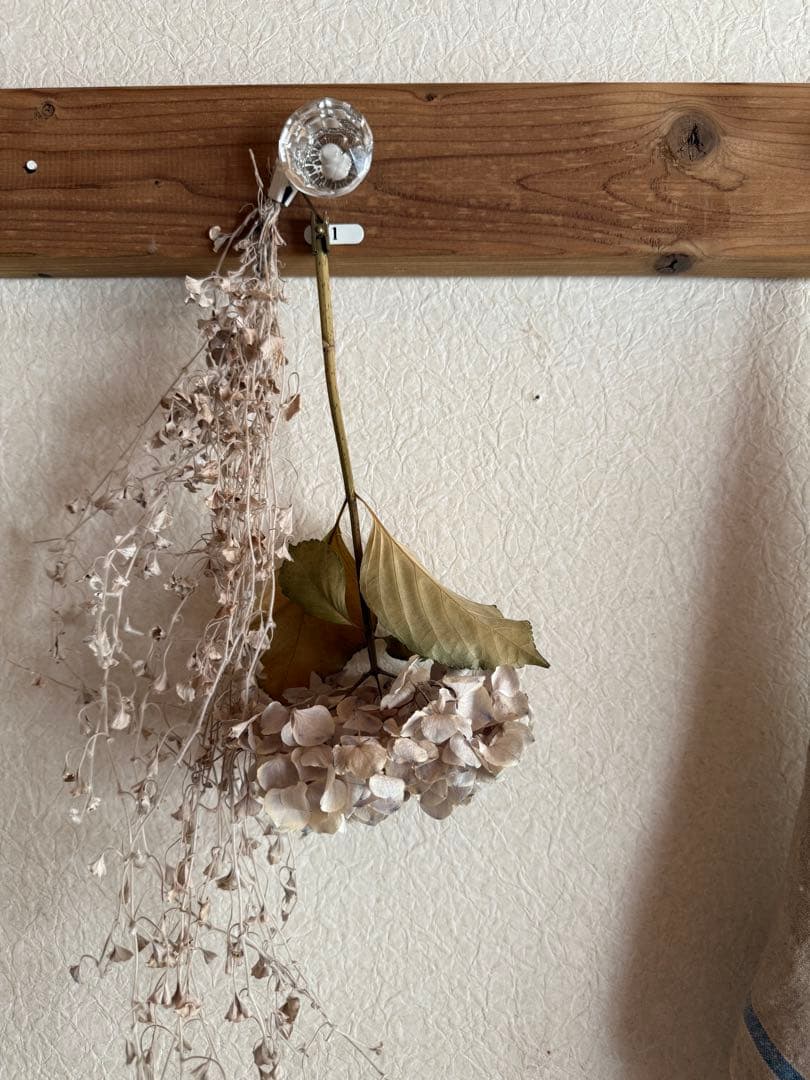 気まぐれ工房ஐ木とガラスのつまみの壁掛けフックஐビンテージ・アンティーク