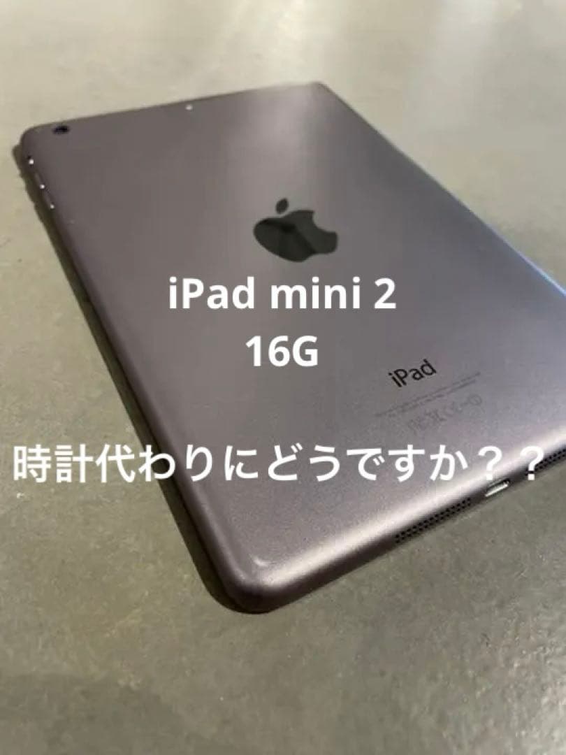 iPad 2mini 16GB スペースグレー